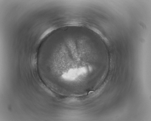 X0000115511450200911271421