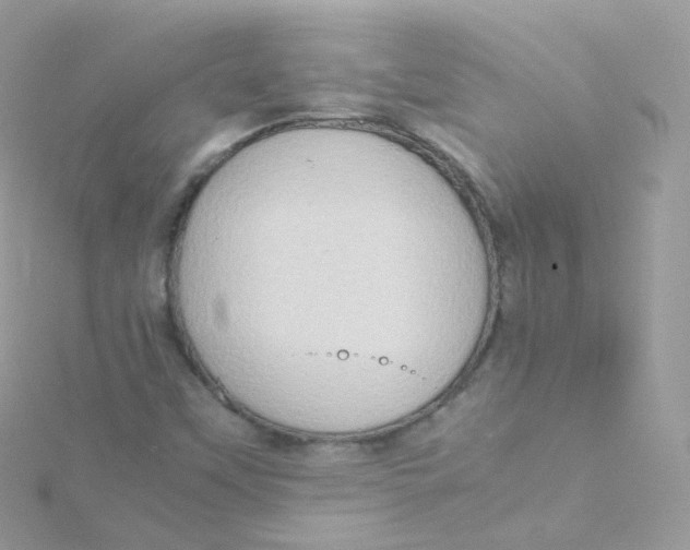 X0000115511451200911271421