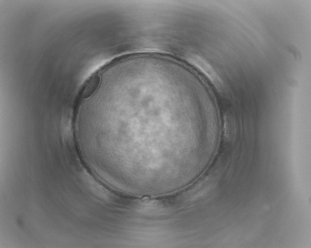 X0000115511452200911271421