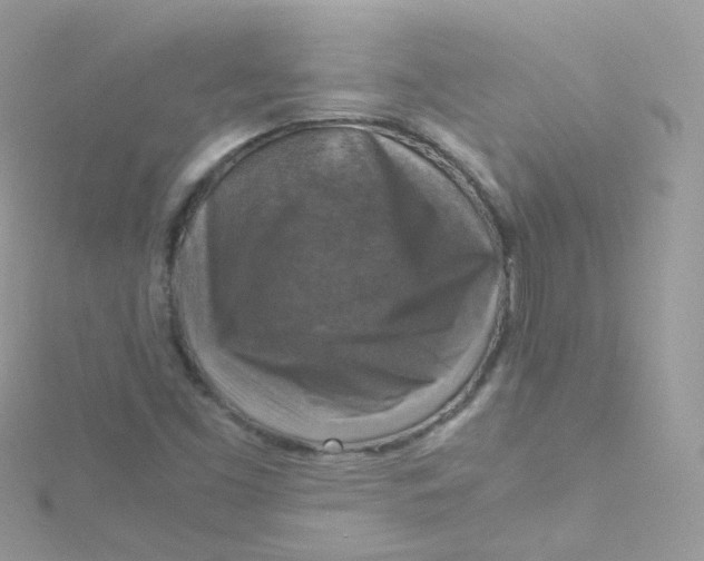 X0000115511453200911271421