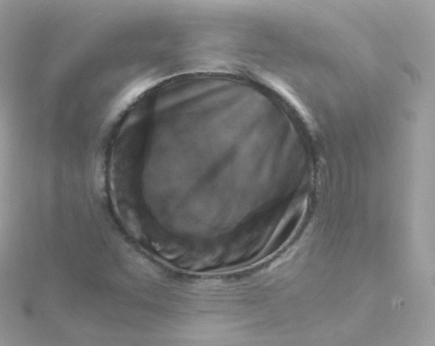 X0000115511455200911271421