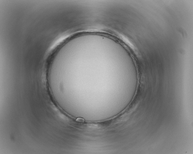 X0000115511456200911271421