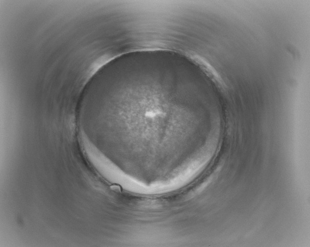 X0000115511457200911271421