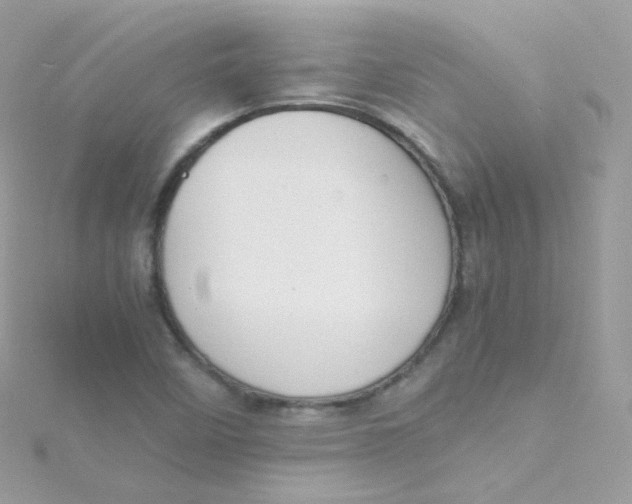 X0000115511458200911271421