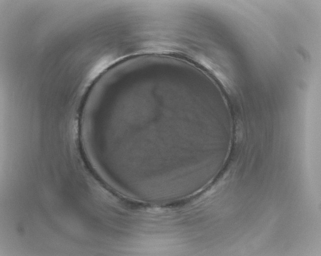 X0000115511459200911271421