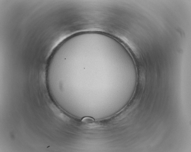 X0000115511460200911271421