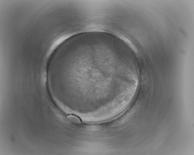 X0000115511461200911271421