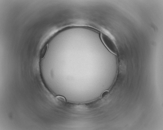 X0000115511464200911271421