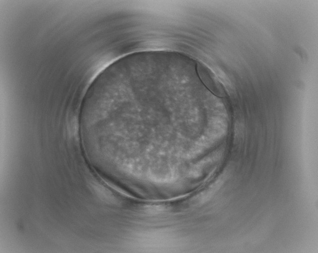 X0000115511465200911271421