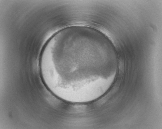 X0000115511466200911271420