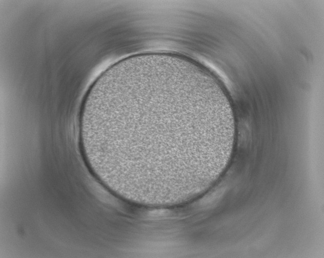 X0000115511467200911271420