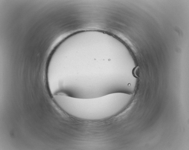 X0000115511469200911271420