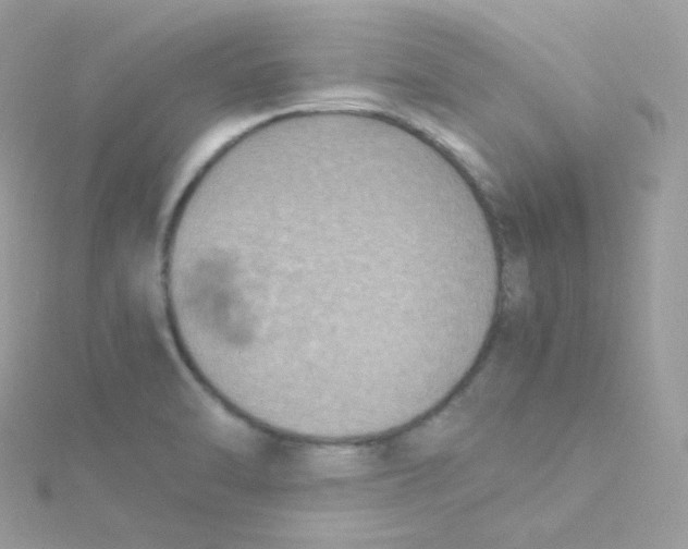 X0000115511470200911271420