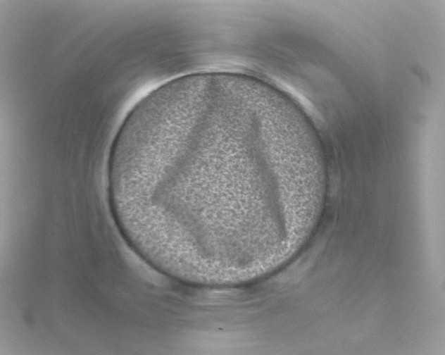 X0000115511471200911271420