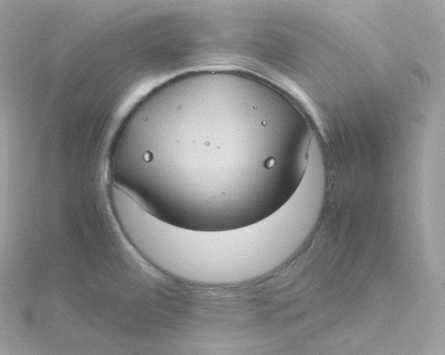 X0000115511472200911271420