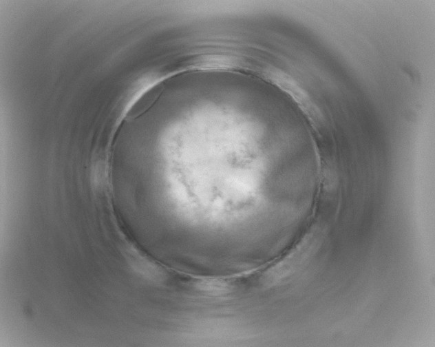 X0000115511473200911271420