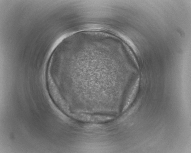 X0000115511475200911271420