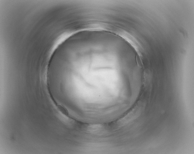 X0000115511477200911271420