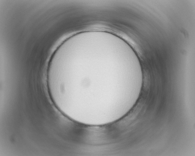 X0000115511478200911271420