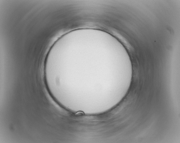 X0000115511479200911271420