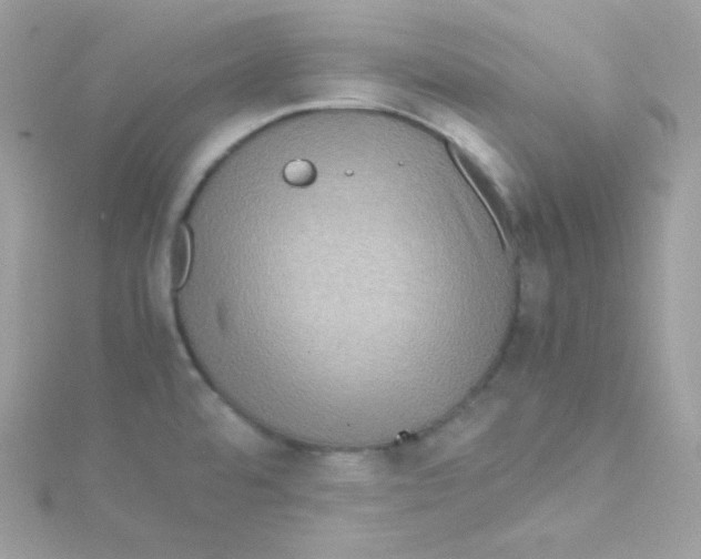 X0000115511480200911271420