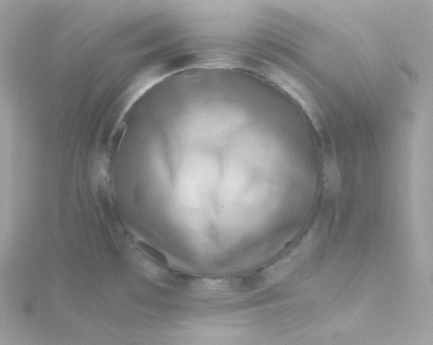 X0000115511481200911271420