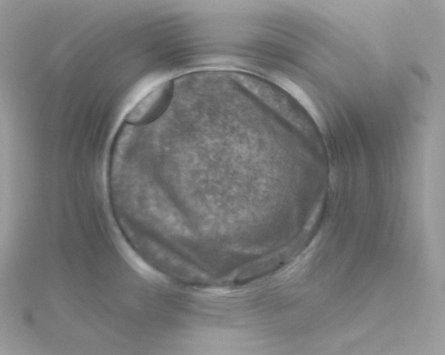 X0000115511482200911271420