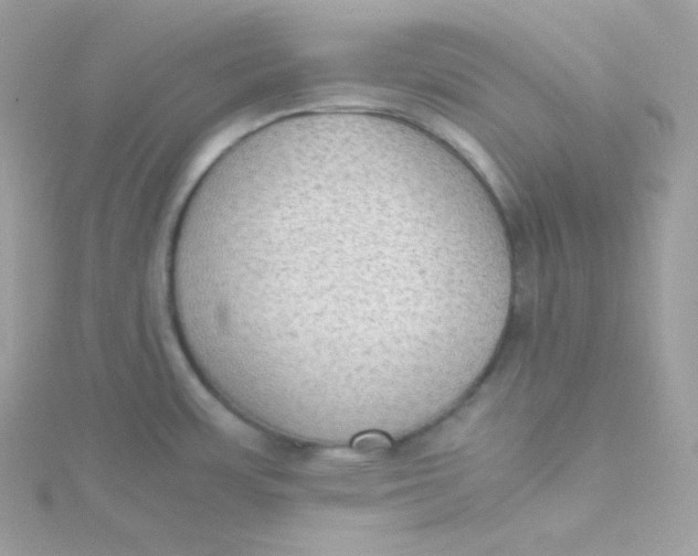 X0000115511483200911271420