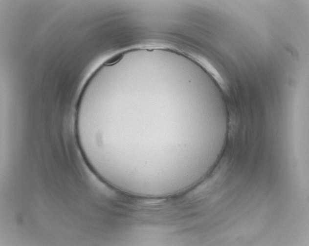 X0000115511484200911271420