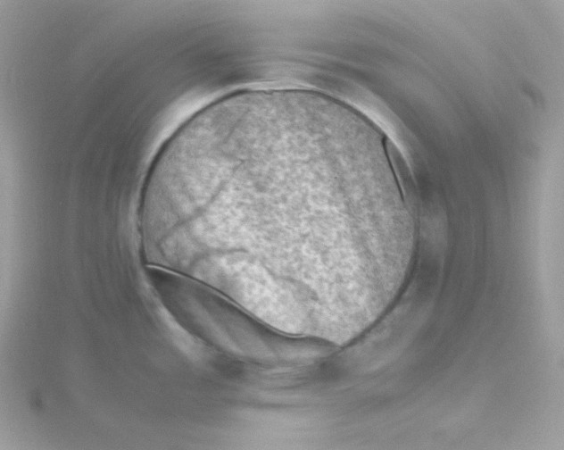 X0000115511485200911271420