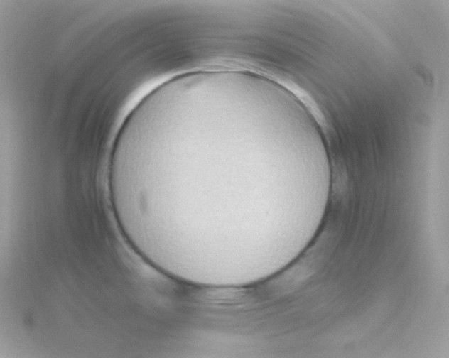 X0000115511486200911271420