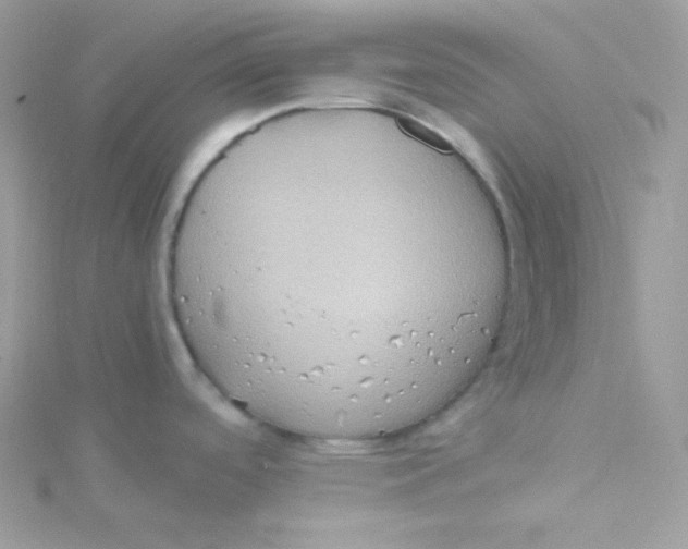 X0000115511488200911271420