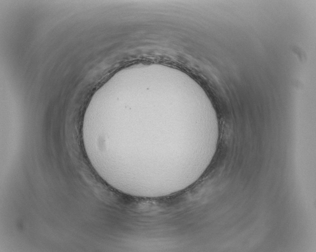 X0000115511489200911271420