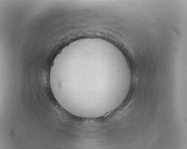 X0000115511490200911271420