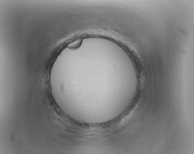 X0000115511494200911271420