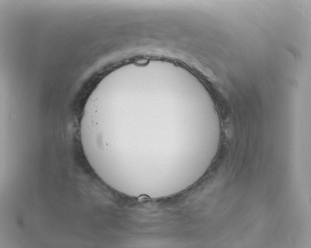 X0000115511495200911271420