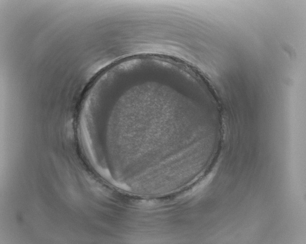 X0000115511497200911271420