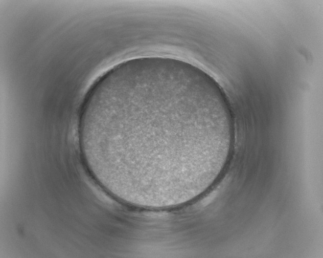 X0000115511498200911271420