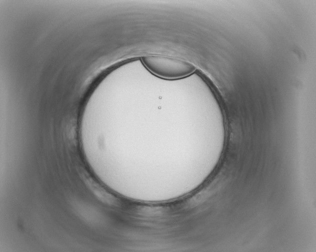 X0000115511499200911271420