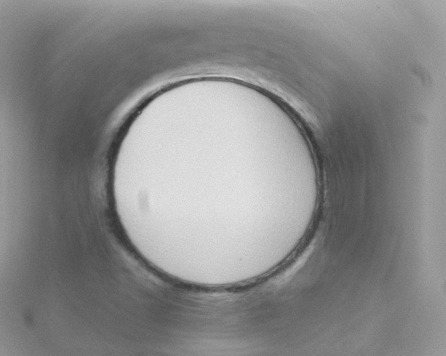 X0000115511502200911271420