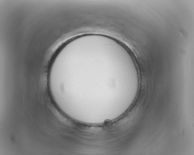 X0000115511503200911271420