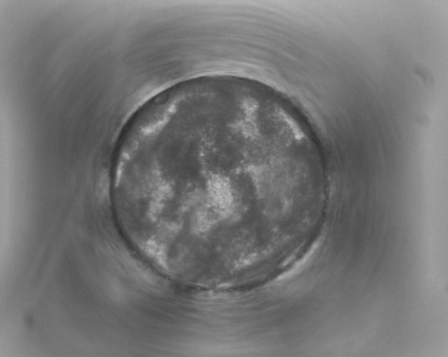 X0000115511505200911271420