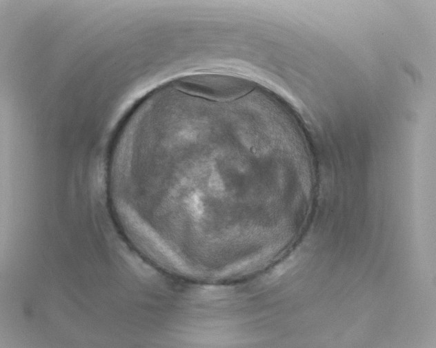 X0000115511506200911271420