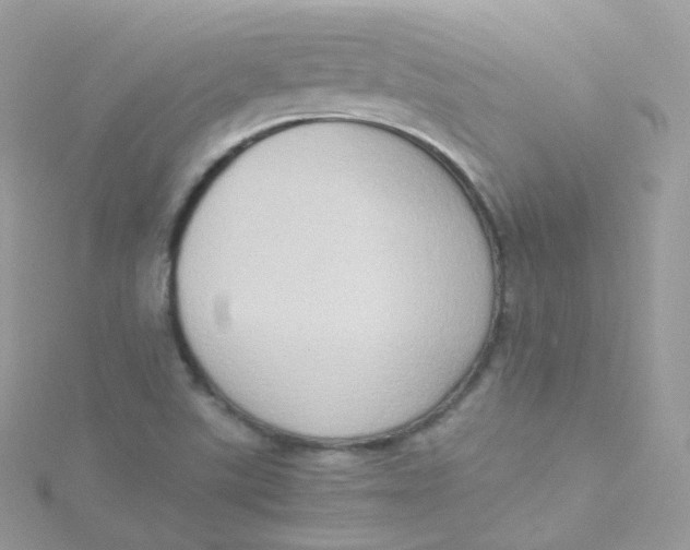 X0000115511507200911271420