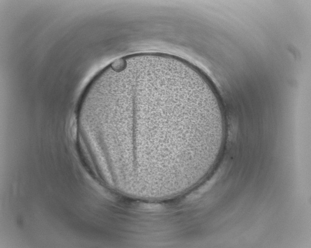 X0000115511509200911271420