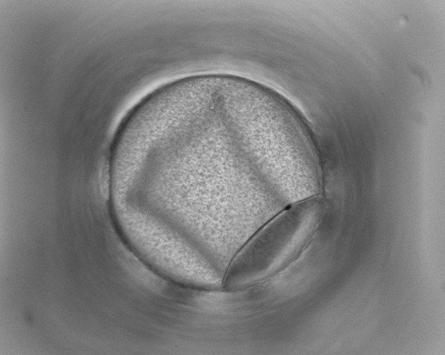 X0000115511510200911271420