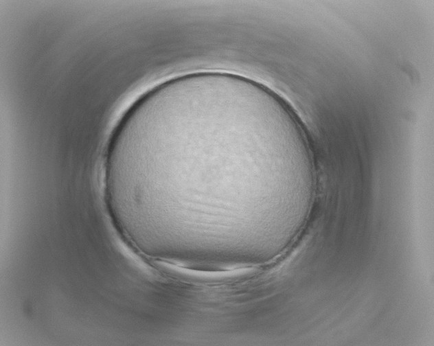 X0000115511511200911271420