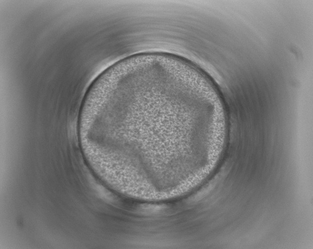 X0000115511513200911271420