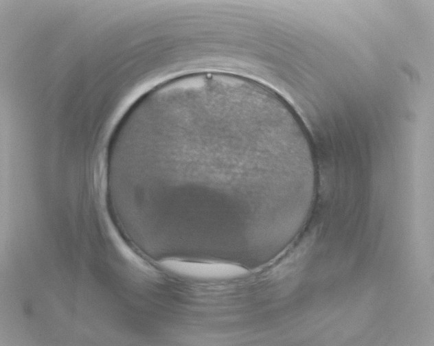 X0000115511515200911271420