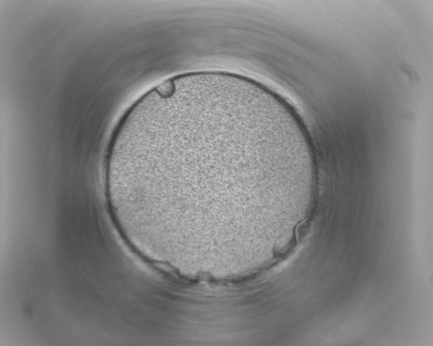 X0000115511517200911271420